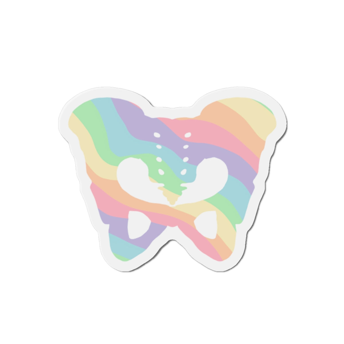 Rainbow Pelvis Magnet