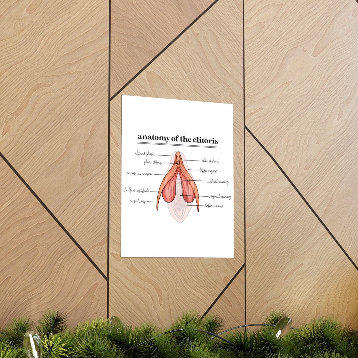 Anatomy of the Clitoris Poster
