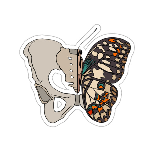 Butterfly/Pelvis Sticker